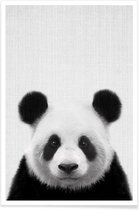 JUNIQE - Poster Panda zwart-wit foto -40x60 /Grijs & Wit