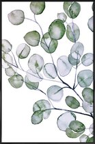 JUNIQE - Poster met kunststof lijst Eucalyptus aquarel -13x18 /Groen &