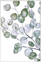 JUNIQE - Poster in kunststof lijst Eucalyptus aquarel -40x60 /Groen &