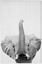JUNIQE - Poster in kunststof lijst Olifant zwart-wit foto -60x90 /Wit
