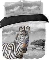 Y-NOT - Zebra In Safari - Dekbedovertrek - Microvezel - Lits-jumeaux - 240x200/220 cm - Zwart, Wit