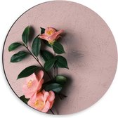 Dibond Wandcirkel - Roze Bloementakje op Roze Achtergrond - 30x30cm Foto op Aluminium Wandcirkel (met ophangsysteem)