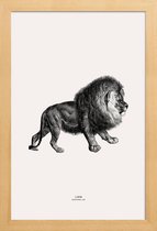 JUNIQE - Poster in houten lijst Lion -60x90 /Grijs & Ivoor