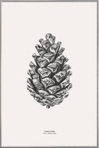 JUNIQE - Poster met kunststof lijst Pinecone -40x60 /Grijs & Ivoor