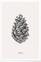 JUNIQE - Poster Pinecone -40x60 /Grijs & Ivoor