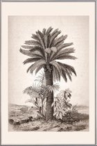 JUNIQE - Poster met kunststof lijst Sago Palm -13x18 /Grijs & Ivoor