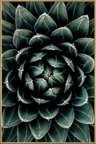 JUNIQE - Poster met kunststof lijst Cactus hart -20x30 /Groen