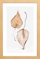 JUNIQE - Poster in houten lijst Delicate Leaves -20x30 /Bruin & Groen