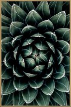 JUNIQE - Poster met kunststof lijst Cactus hart -30x45 /Groen