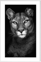 JUNIQE - Poster in kunststof lijst Lioness -60x90 /Grijs & Zwart