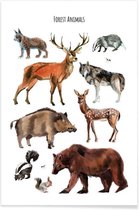 JUNIQE - Poster Forest Animals -13x18 /Bruin & Grijs