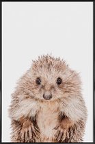 JUNIQE - Poster in kunststof lijst Hedgehog -20x30 /Bruin