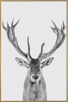 JUNIQE - Poster met kunststof lijst Rendier Klassiek Zwart-Wit -30x45
