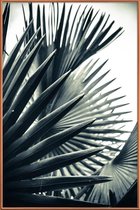 JUNIQE - Poster met kunststof lijst Palm Shade 2 -30x45 /Grijs & Groen