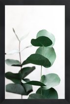 JUNIQE - Poster in houten lijst Eucalyptus 5 -40x60 /Groen & Wit