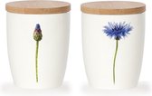 Mok | Kornblomst (Centaurea Cyanusl)