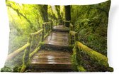 Buitenkussens - Tuin - Mooi regenwoud en jungle - 50x30 cm