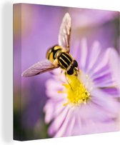 Une abeille est assise sur une fleur d'aster Toile 20x20 cm - petit - Tirage photo sur toile (Décoration murale salon / chambre)