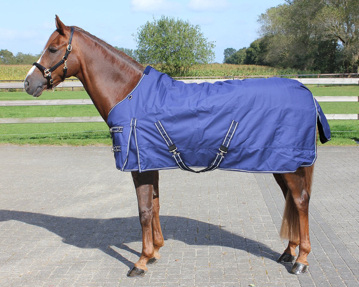 Regendeken luxe 200 gram Navie paardendeken-195