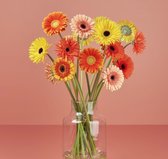 Bloom Makery - Zonnige Favoriet - Bloemen - Boeket - 18 Gerbera's