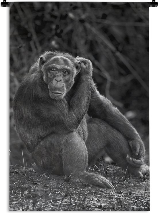 Tapisserie Profils d'animaux en Zwart- Wit - Profil animalier assis chimpanzé en noir et blanc Tapisserie en coton 90x135 cm - Tapisserie avec photo