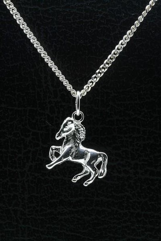 Zilveren Paard ketting hanger - klein | bol.com