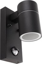 Olucia Acco - Moderne Buiten wandlamp met bewegingssensor - RVS - Zwart