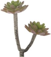 Kunstbloemen En Overige - Succulent Branch Green/burgundy 20cm Artificial