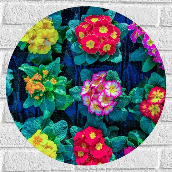 Muursticker Cirkel - Patroon van Gele en Roze Bloemboeketjes - 50x50 cm Foto op Muursticker