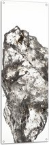 Tuinposter – Groot Wit Doorzichtig Kristal tegen Witte Ondergrond - 50x150 cm Foto op Tuinposter (wanddecoratie voor buiten en binnen)
