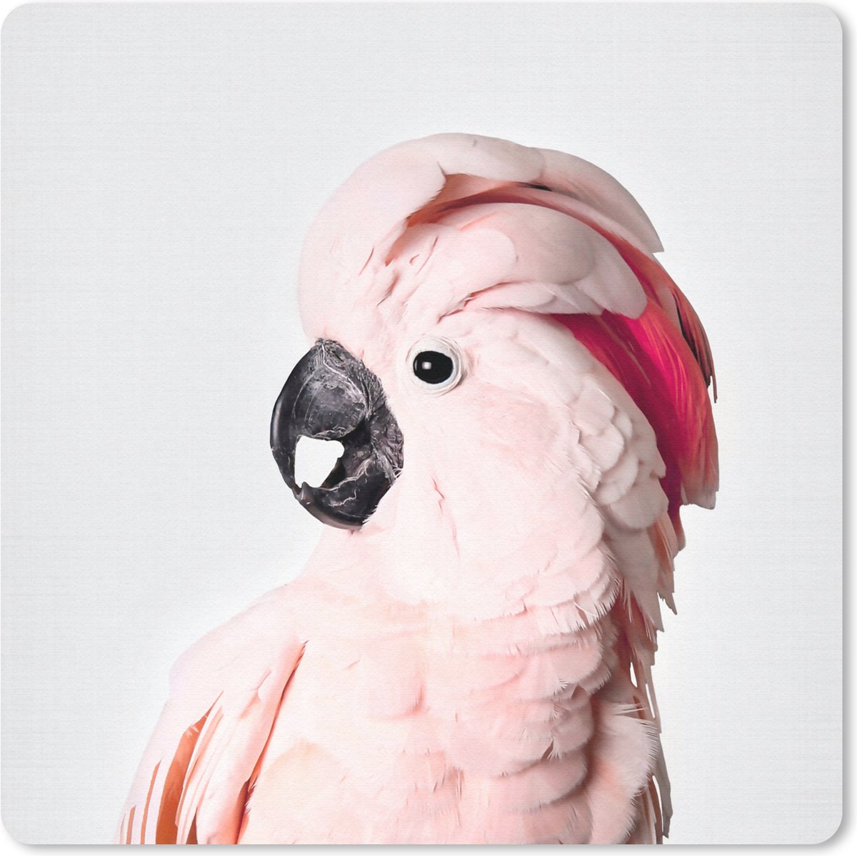Muismat 20x20 cm - Mousepad Kaketoe - Roze - Dieren - Natuur - Muismatten