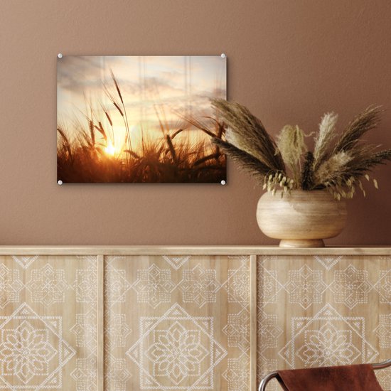 MuchoWow - Peinture sur verre - Photo sur verre - Roseau - Herbe - Soleil - Nature - 40x30 cm - Image sur verre - Décoration murale - Peinture nature - Verre acrylique