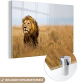 MuchoWow® Glasschilderij 120x80 cm - Schilderij acrylglas - Leeuwen - Gras - Afrika - Foto op glas - Schilderijen