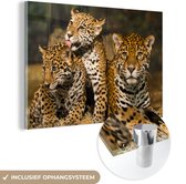 MuchoWow® Glasschilderij 30x20 cm - Schilderij acrylglas - Luipaard - Wilde dieren - Natuur - Foto op glas - Schilderijen