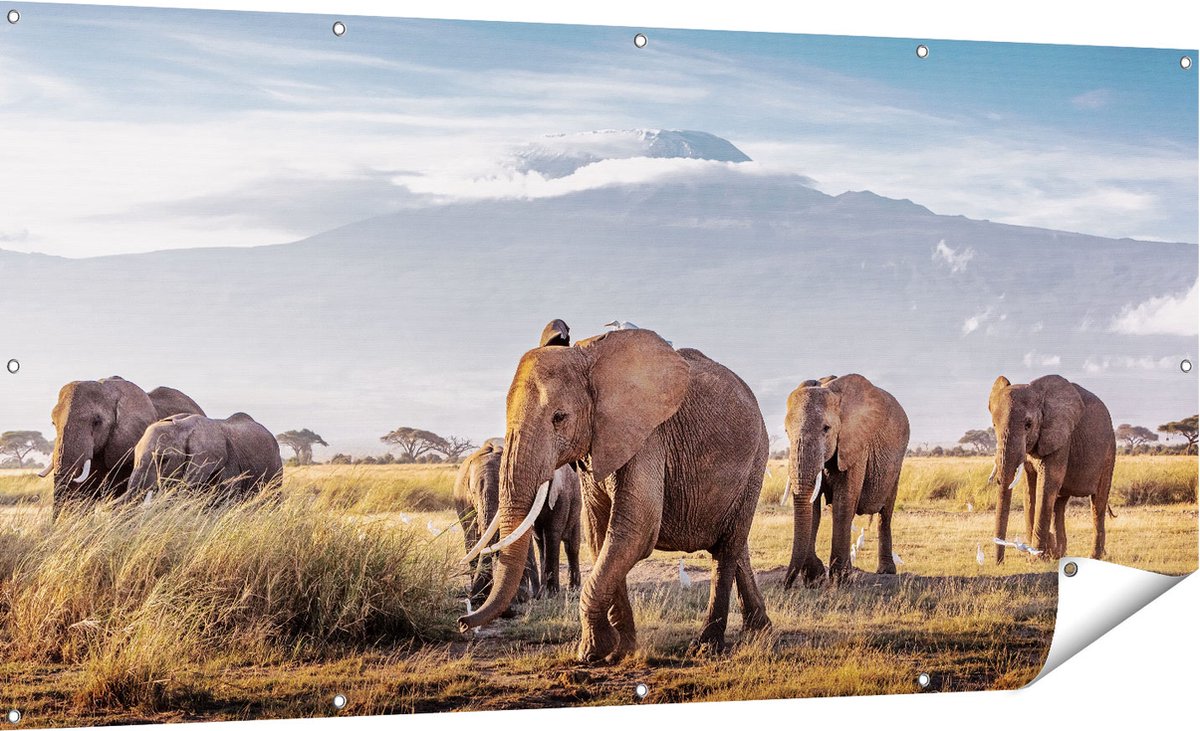 Gards Tuinposter Groep Olifanten Lopen voor de Bergen - 180x90 cm - Tuindoek - Tuindecoratie - Wanddecoratie buiten - Tuinschilderij Multikleur