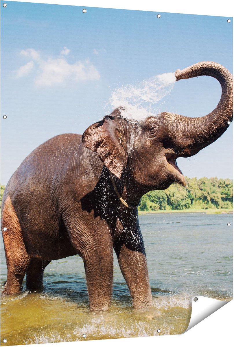 Gards Tuinposter Vrolijke Olifant in het Water - 120x150 cm - Tuindoek - Tuindecoratie - Wanddecoratie buiten - Tuinschilderij Multikleur