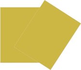 Karton Goud-Groen 21,6x27,9cm (50 stuks)