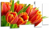 GroepArt - Schilderij - Tulpen - Oranje, Groen, Wit - 120x65 5Luik - Foto Op Canvas - GroepArt 6000+ Schilderijen 0p Canvas Art Collectie - Wanddecoratie