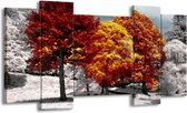 GroepArt - Schilderij - Natuur - Geel, Oranje, Wit - 120x65 5Luik - Foto Op Canvas - GroepArt 6000+ Schilderijen 0p Canvas Art Collectie - Wanddecoratie