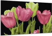 Schilderij Op Canvas Tulpen - Roze, Groen, Zwart - 120x70cm 1Luik - Foto Op Canvas - GroepArt 6000+ Schilderijen 0p Canvas Art Collectie - Wanddecoratie - Woonkamer - Slaapkamer - Canvas Print