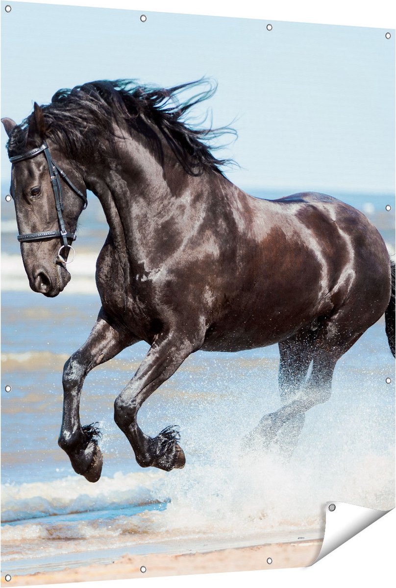 Gards Tuinposter Zwart Paard in het Water - 120x150 cm - Tuindoek - Tuindecoratie - Wanddecoratie buiten - Tuinschilderij Multikleur