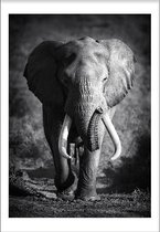 Elephant Spirit Animal (50x70cm) - Wallified - Tekst - Zwart Wit - Poster - Wall-Art - Woondecoratie - Kunst - Posters