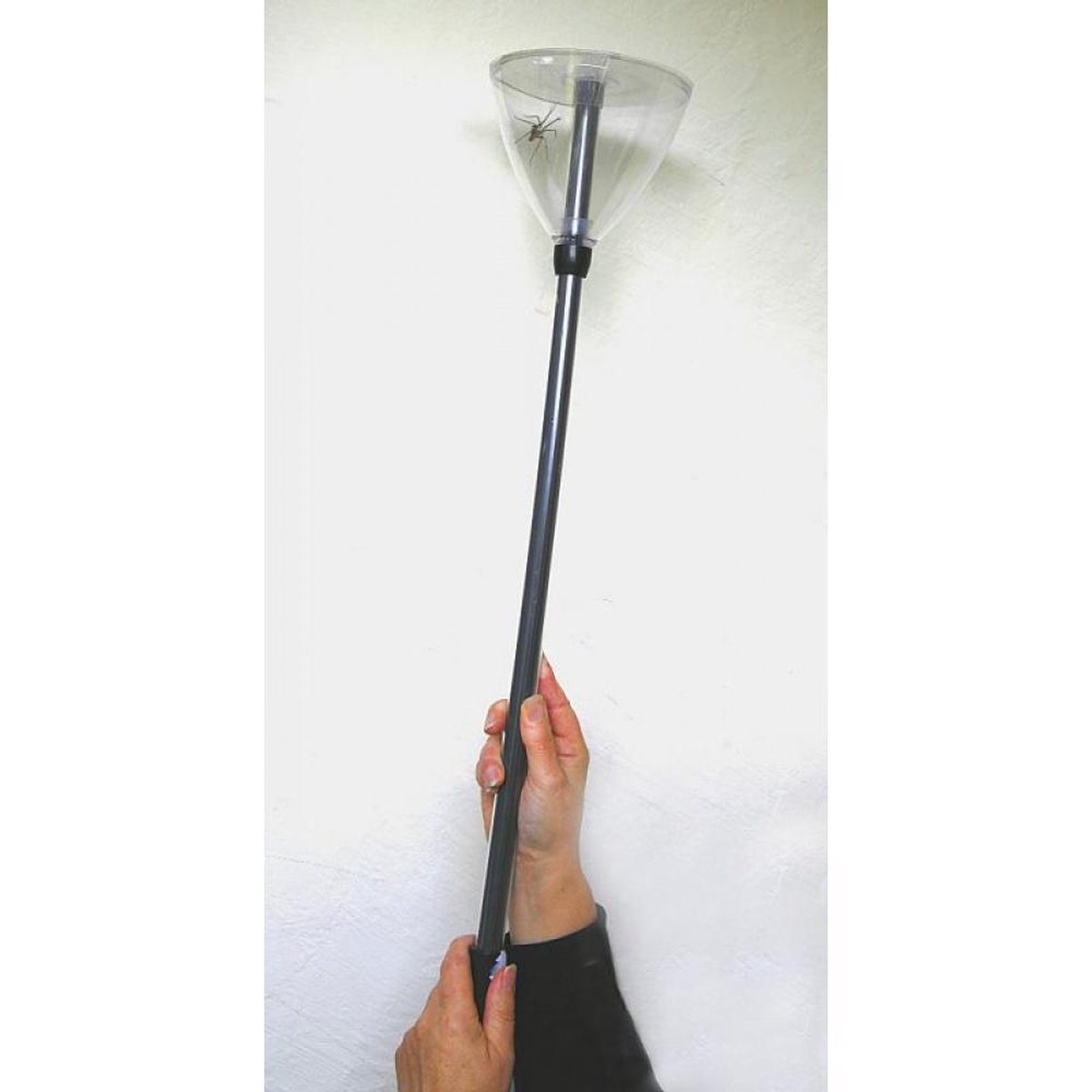 Opvouwbare Insectenvanger Met Lange Steel Van 74 Cm Verwijdert Op Humane Wijze Spinnen Insecten En Wespen