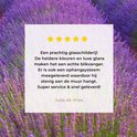 Product afbeelding  8