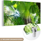 MuchoWow® Glasschilderij 80x40 cm - Schilderij acrylglas - Tropisch regenwoud - Foto op glas - Schilderijen