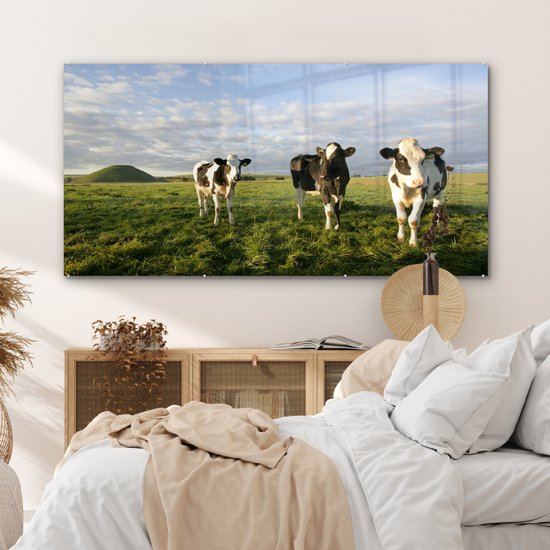 Trois vaches frisonnes dans un cadre magnifique Plexiglas 160x80 cm - Tirage photo sur verre (décoration murale plexiglas)