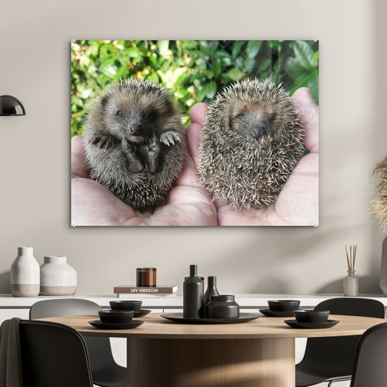 MuchoWow® Peinture sur verre 80x60 cm - Peinture sur verre acrylique - Deux bébés hérissons - Photo sur verre - Peintures