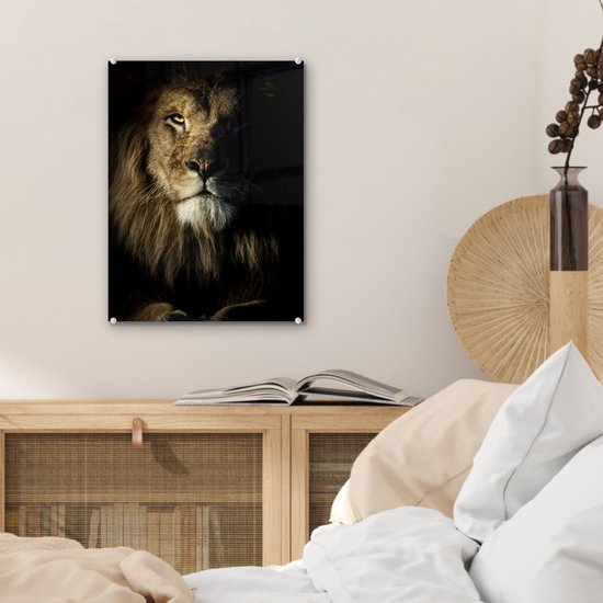 MuchoWow® Peinture sur verre - Lion - Lumière - Zwart - 30x40 cm - Peintures sur verre acrylique - Photo sur Glas