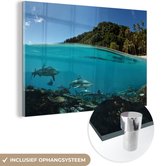 MuchoWow® Glasschilderij 180x120 cm - Schilderij acrylglas - Koraal - Haaien - Zee - Foto op glas - Schilderijen