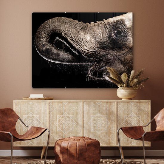 MuchoWow® Peinture sur verre 120x90 cm - Peinture sur verre acrylique - Éléphant - Animaux - Zwart - Nature - Photo sur verre - Peintures